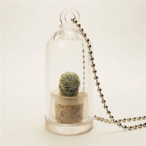 There's no magical planter pot but make sure your pot isn't too small for your cactus. Green Cactus GemSprout Necklace - GemSprouts are living ...