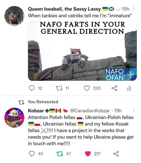 Kobzar 🇺🇦🇨🇦 🍉 On Twitter If Anyone Ever Needs To Explain What Nafo Is Just Show Them This 👇