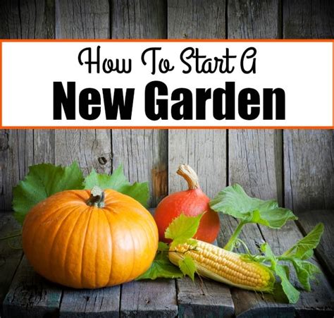 22 Brilliant Vegetable Gardening Tips For Beginners Life