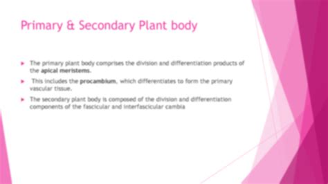 Solution Different Tissue System Of Primary Secondary Plant Body Of