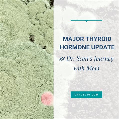 Major Thyroid Hormone Update And Dr Scotts Journey With Mold Dr