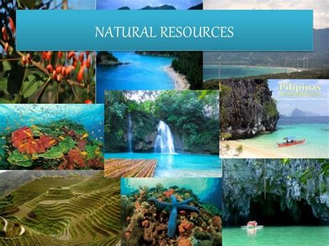 Examples Of Natural Resource