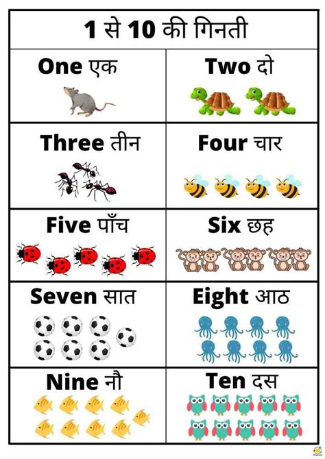 Hindi Numbers 1 To 20 Teach On