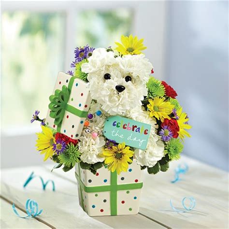 Conroy's flowers is located in bakersfield city of california state. Homepage | 18F | Conroy's - Bakersfield