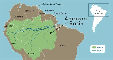 La Navigazione Nel Bacino Idrografico Del Rio Delle Amazzoni Abaqua