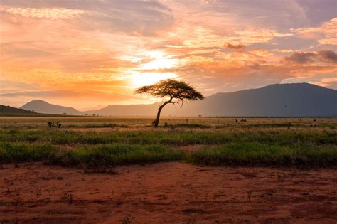 View the latest market news and prices, and trading information. Africa stock image