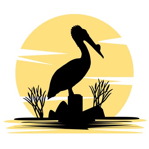 Pelican Sunset Silhouette Free Stock Photo - Public Domain Pictures