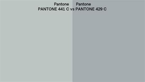 Pantone 441 C Vs Pantone 429 C Side By Side Comparison