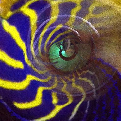 Aquatic Eye Digital Art By Valerie Mcbride