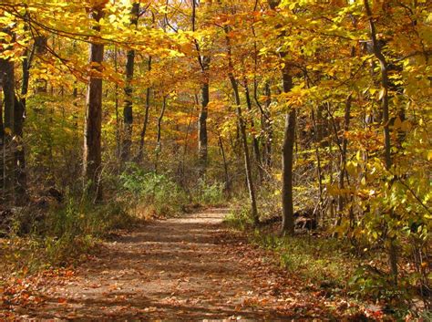 Media Release Blacklick Woods Metro Park Inducted Into Old Growth