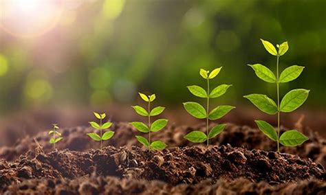 This workbook can help you organize your thoughts as you prepare to meet with your merit badge counselor. Cree Sustainability - Environment | Cree, Inc.