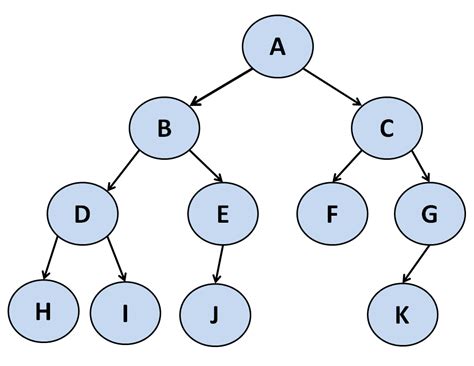 Everything You Need To Know About Tree Traversal Algorithms Theory And