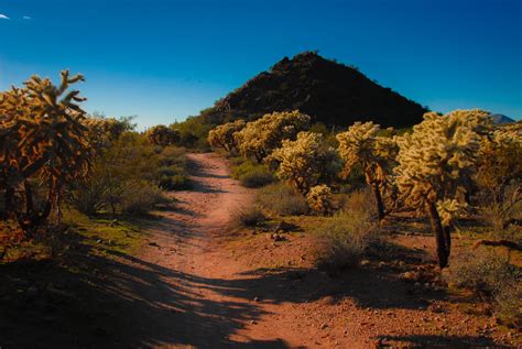 Arizona Desert Landscape Free Stock Photo Public Domain Pictures
