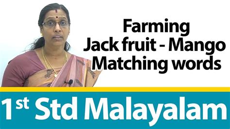 Dafür gibt es verschiedene möglichkeiten. 1st STD CBSE MALAYALAM LEARNING CLASS | Farming Jack fruit ...