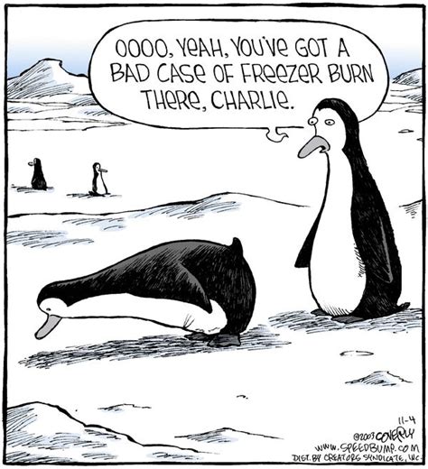 Pin By Eric Lightsey On 4bz Penguins Funny Penguin Cartoon Cheesy Jokes