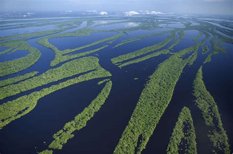 12 Fascinating Facts About The Amazon River