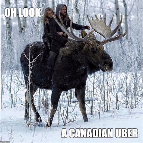 Canadian Uber Imgflip