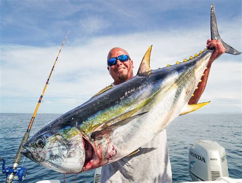 Stay up to date with everything you need to know about l.a. La Paz Fishing Package Baco - Deep Sea Fishing La Paz ...