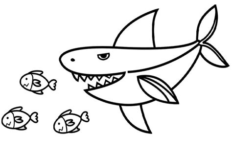 Hai Und Fische Ausmalbilder Kostenlos Herunterladen Ausdrucken Oder Online Ausmalen
