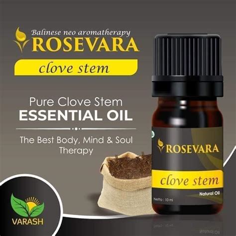 Minyak biji jarak telah digunakan untuk berbagai masalah kesehatan perut, karena dapat melapisi lambung dalam lapisan tipis. ROSEVARA CLOVE STEAM | Minyak Esensial Tangkai Bunga Cengkeh