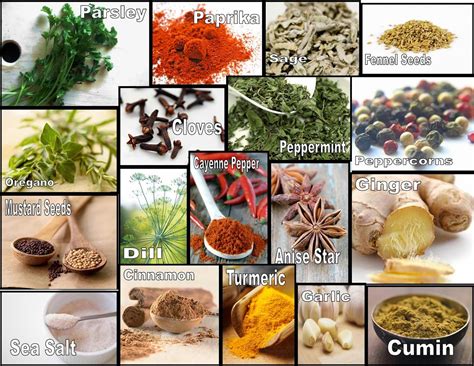 Culinary Physics List Of Common Herbs And Spices And Their Uses