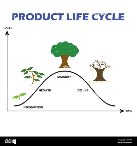 Product Life Cycle Chart On White Background Stock Photo Colourbox My