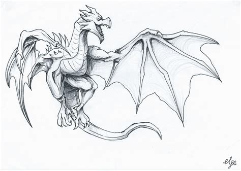 Dragon Flying Drawing Carinewbi
