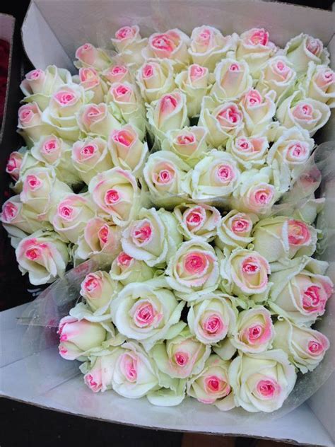 Check spelling or type a new query. Pin by Allana on ~ The Enchanted Florist ~ in 2020 ...