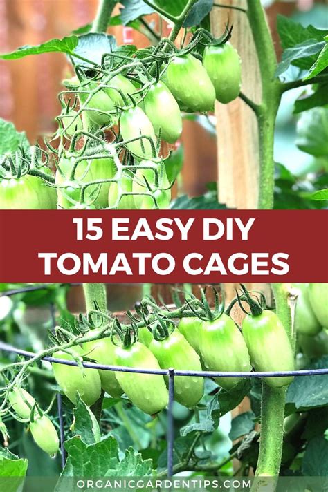 15 Easy Diy Tomato Cage Ideas Tomato Plants Support Tomato Planter