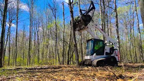 Bobcat T770 Forestry Mulching Whole Tree Youtube