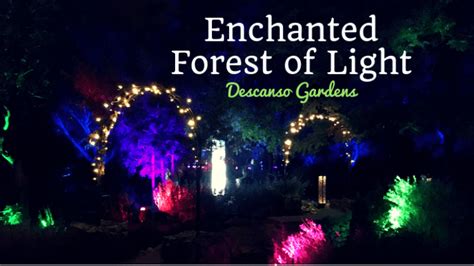 Enchanted Forest Of Light At Descanso Gardens 2019