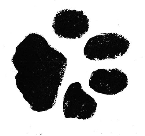 List 90 Images Picture Of A Cat Paw Print Updated