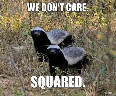Honey Badger Dont Care Honey Badger Dont Give A Sht It Just Takes