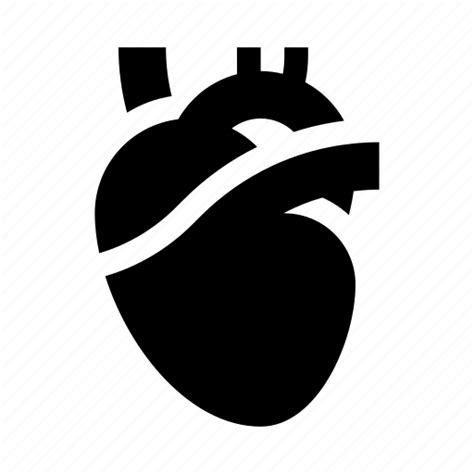 Human Heart Anatomy Organ Blood Pressure Healthcare Icon