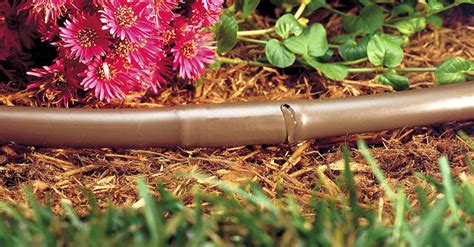 Soaker Hose Or Drip Line Whats Best Easy Garden Irrigation