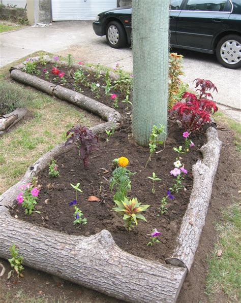 awesome garden  landscaping edging ideas