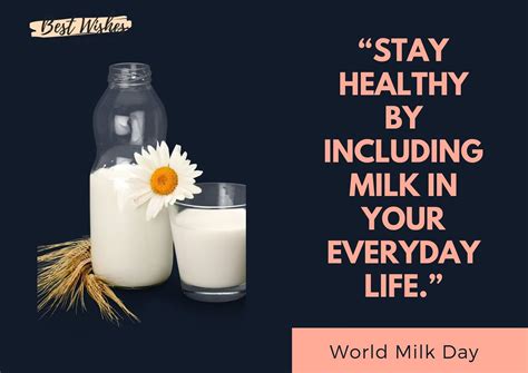 World Milk Day Quotes Slogans Sayings Messages And Wishes My Xxx Hot Girl