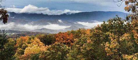 2023 Ultimate Smoky Mountain Fall Foliage Map Guide