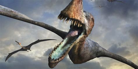 Flying Dinosaurs In America Saferbrowser Yahoo Image Search Results