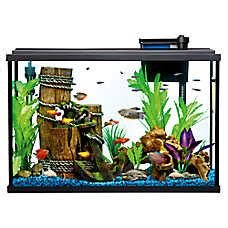Why do fish stores sell bettas in small cups and vases? Aquariums, Fish Tank Supplies & Stands | PetSmart