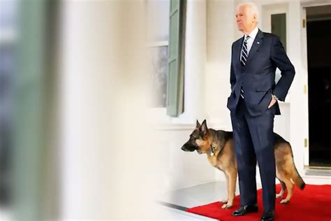 Ein ferienhaus oder hotel, eine pension oder ferienwohnungen, einen campingplatz. Mit Stützschuh ins Weiße Haus? Joe Biden beim Spielen mit ...