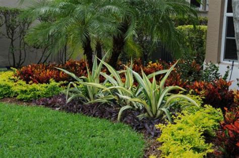 25 Amazing Landscaping With Croton Ideas Florida Landscaping