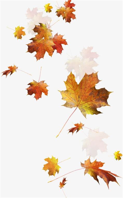 Falling Leaves Png Clipart Fall Falling Clipart Leaves