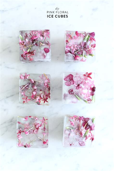Diy Floral Ice Cubes
