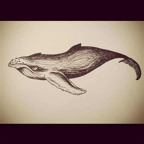 Before we build our final project it is beneficial that we sketch what we are trying to make. Indian ink humpback whale sketch | Whale sketch, Art, Sketches