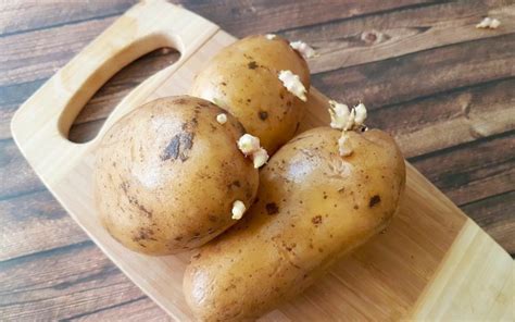 Raisins can go bad if not properly stored. Do Potatoes Go Bad? - What Is the Shelf Life of Potatoes?