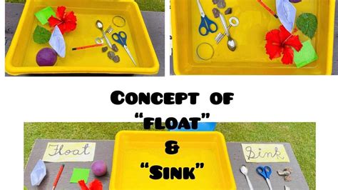 Concept Of Float And Sink Youtube