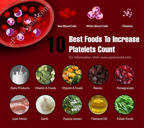 Pin On Diet Nutrition