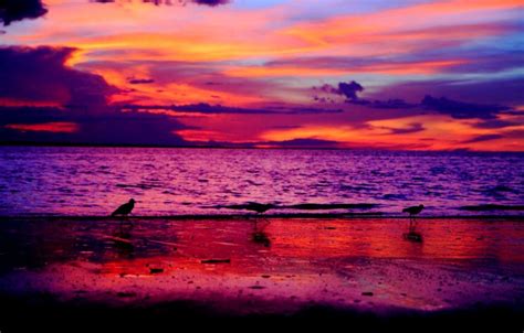 Colorful Beach Sunset Wallpapers Top Free Colorful Beach Sunset
