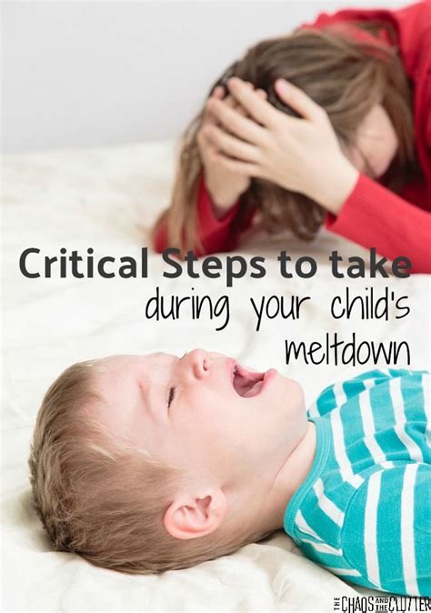 5 Critical Steps to Take When Your Child has a Meltdown ...